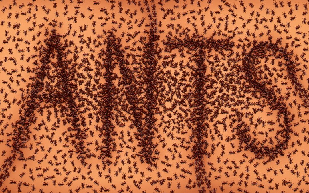 Engage with Success. Paul Becque. Certified Mindset Trainer, Transformational Coach and Speaker